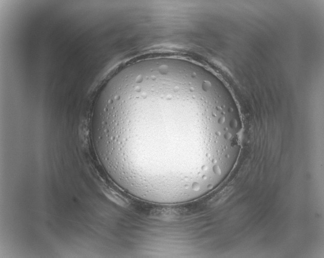 X0000073841355200608311924