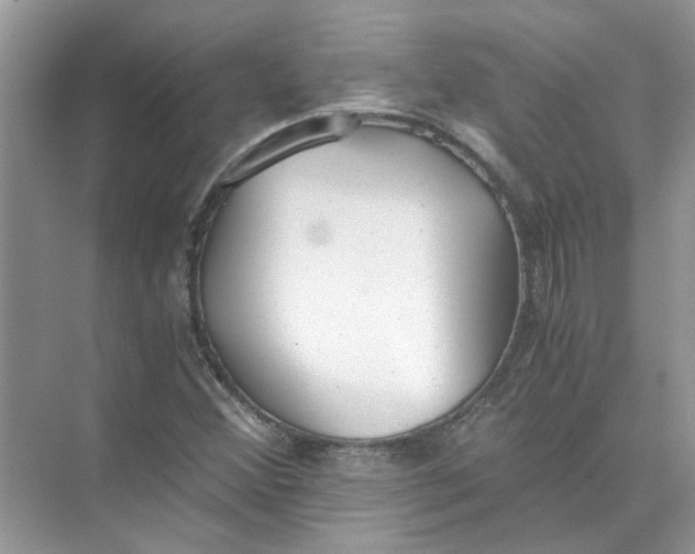 X0000073841356200608311924