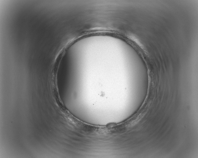 X0000073841357200608311924