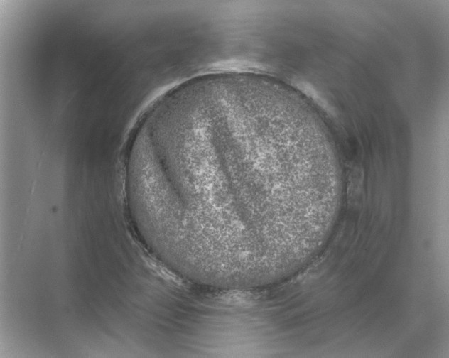 X0000073841358200608311924