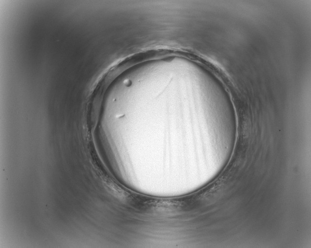 X0000073841359200608311924