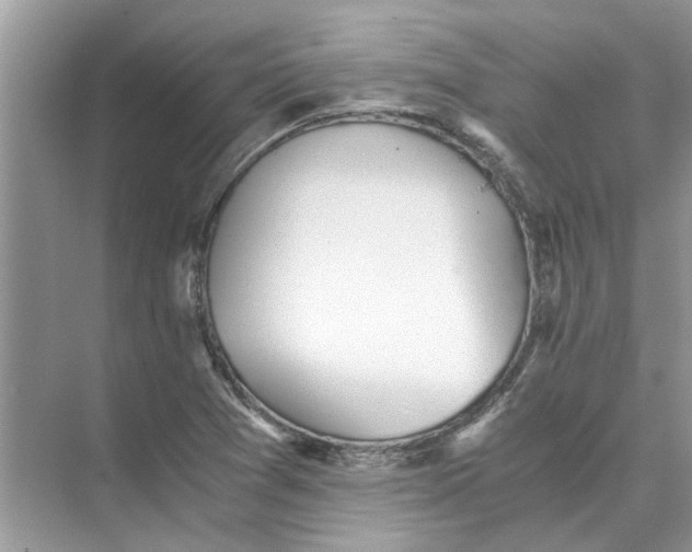 X0000073841361200608311924