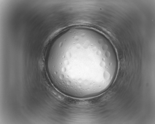 X0000073841363200608311924