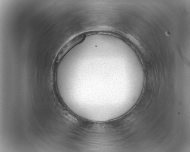 X0000073841364200608311924