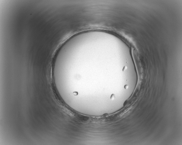 X0000073841365200608311924