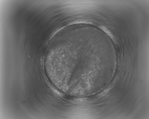 X0000073841369200608311923