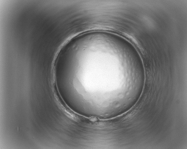 X0000073841371200608311923