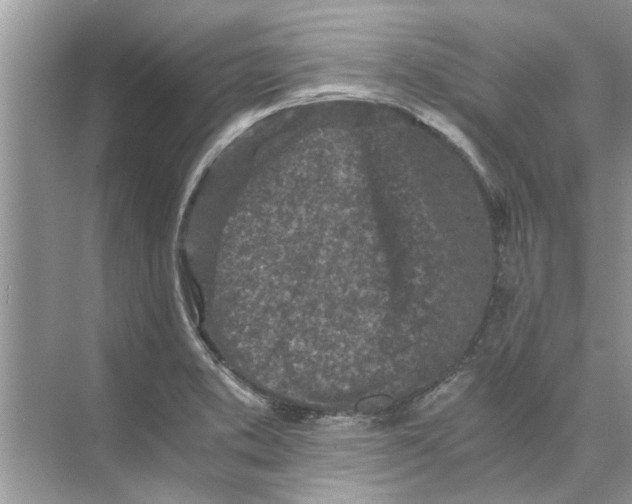 X0000073841373200608311923