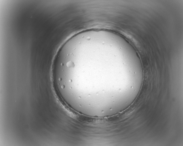 X0000073841375200608311923