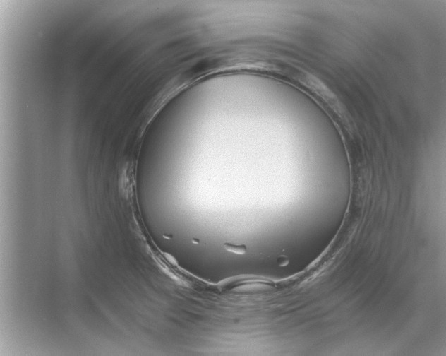 X0000073841377200608311923