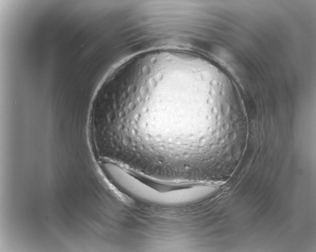 X0000073841379200608311923