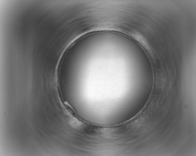 X0000073841380200608311923