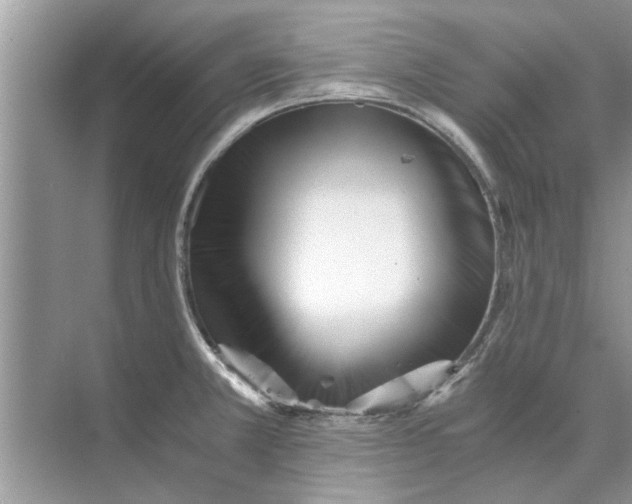 X0000073841381200608311923