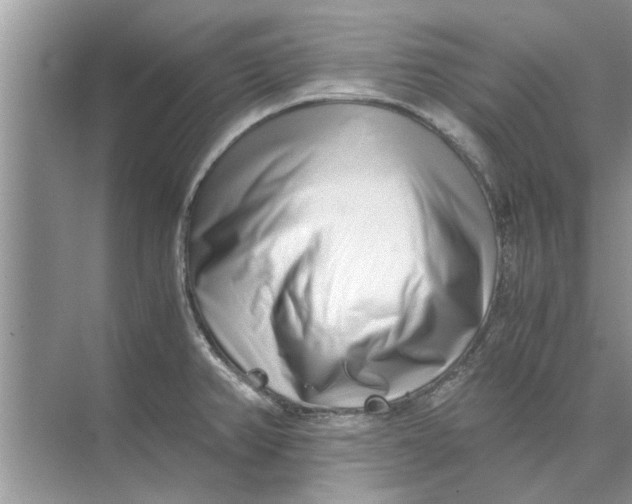 X0000073841382200608311923