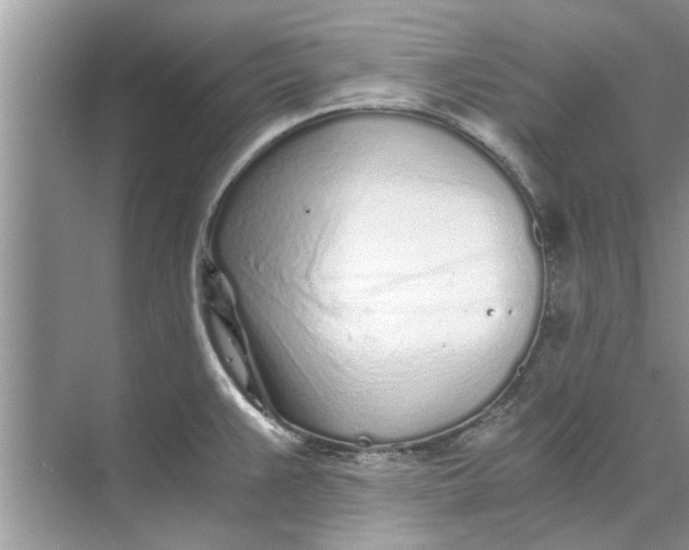 X0000073841383200608311923