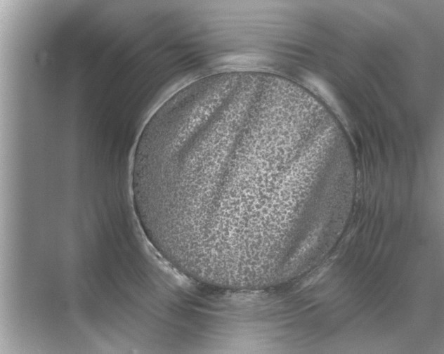 X0000073841386200608311923