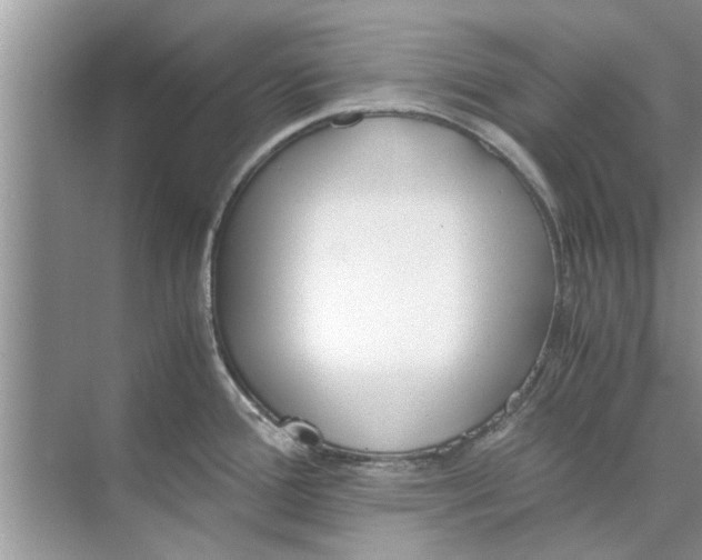 X0000073841388200608311923