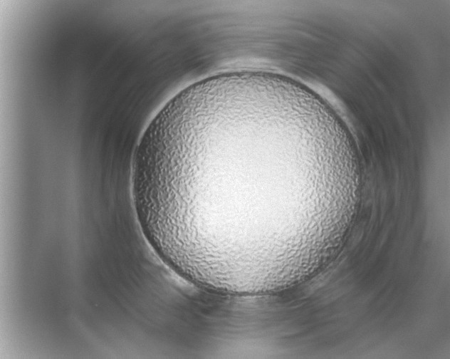 X0000073841390200608311923