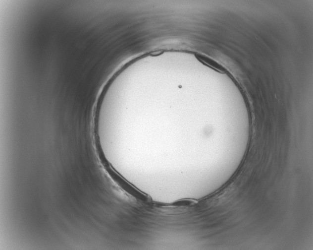 X0000073841392200608311923