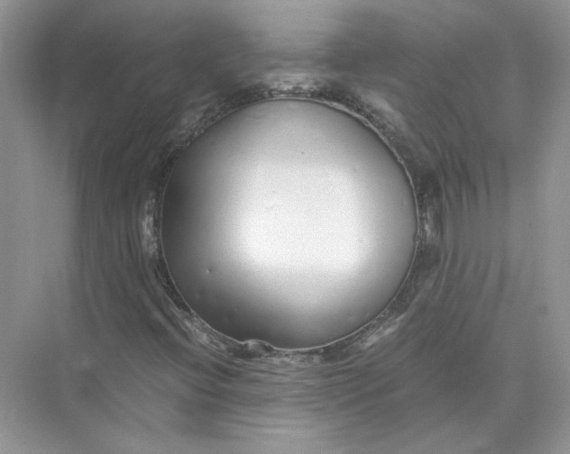 X0000073841396200608311922