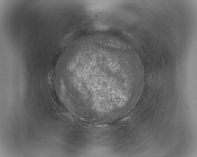 X0000073841397200608311922