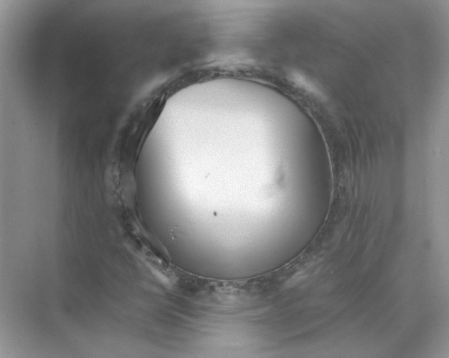 X0000073841398200608311922