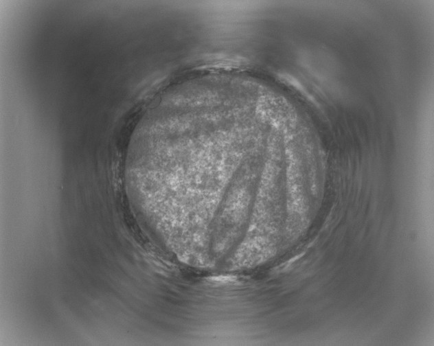 X0000073841399200608311922