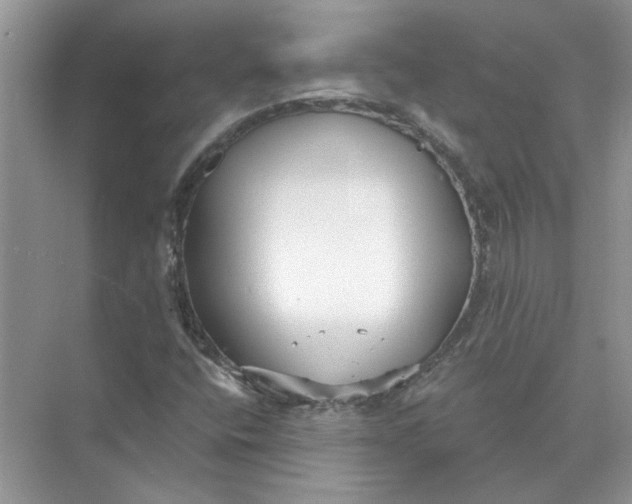 X0000073841400200608311922