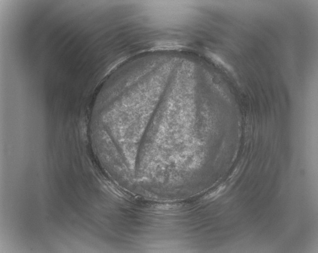 X0000073841401200608311922