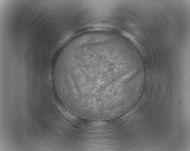 X0000073841403200608311922