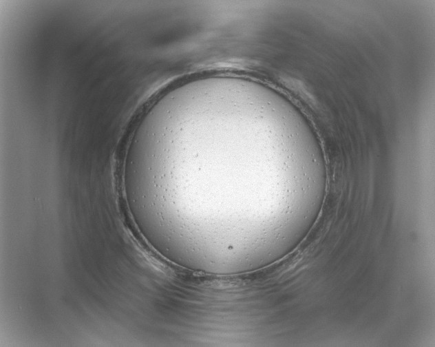 X0000073841404200608311922