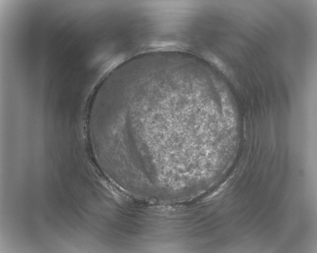 X0000073841405200608311922