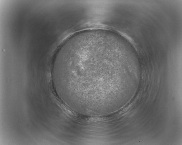 X0000073841407200608311923