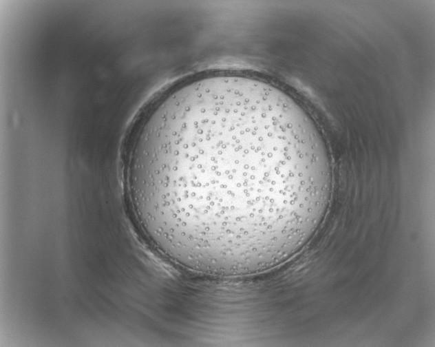 X0000073841408200608311923