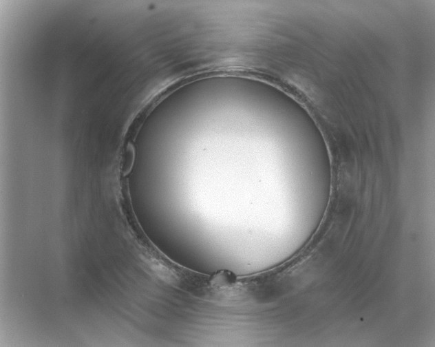 X0000073841410200608311923