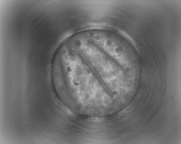 X0000073841411200608311923