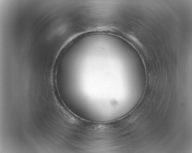 X0000073841412200608311923