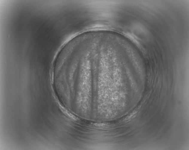 X0000073841413200608311923