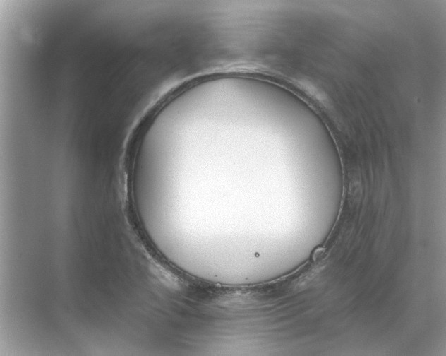 X0000073841414200608311923