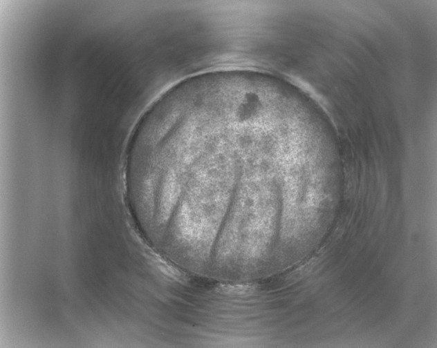 X0000073841415200608311923