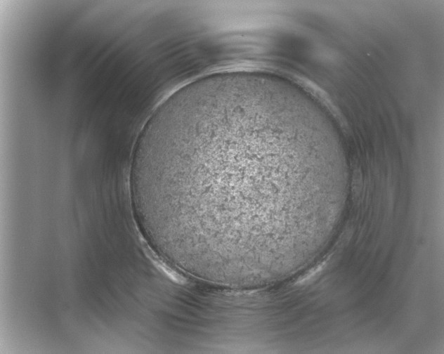 X0000073841417200608311923