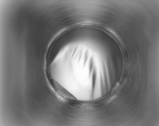 X0000073841418200608311923