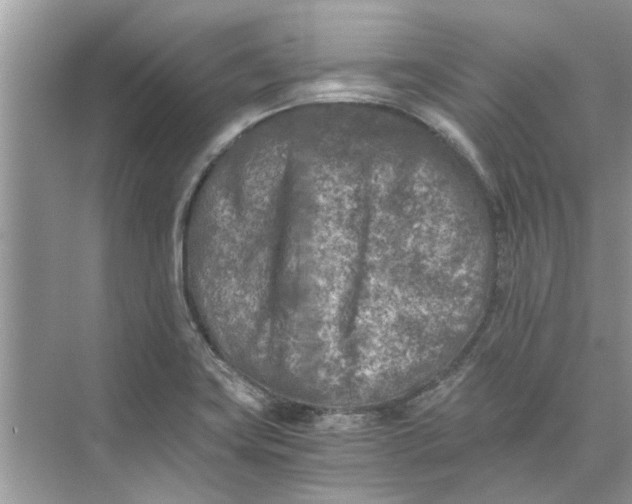 X0000073841419200608311923