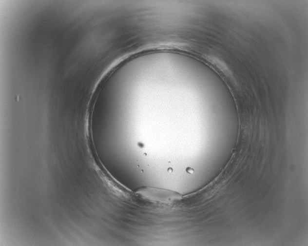 X0000073841420200608311923