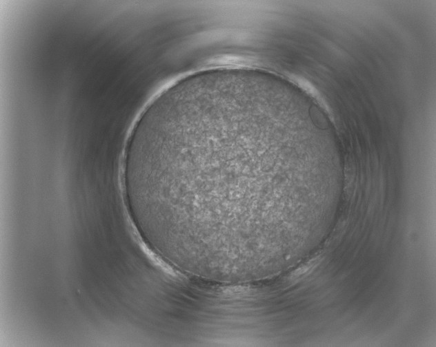 X0000073841421200608311923