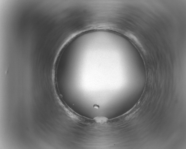 X0000073841424200608311923