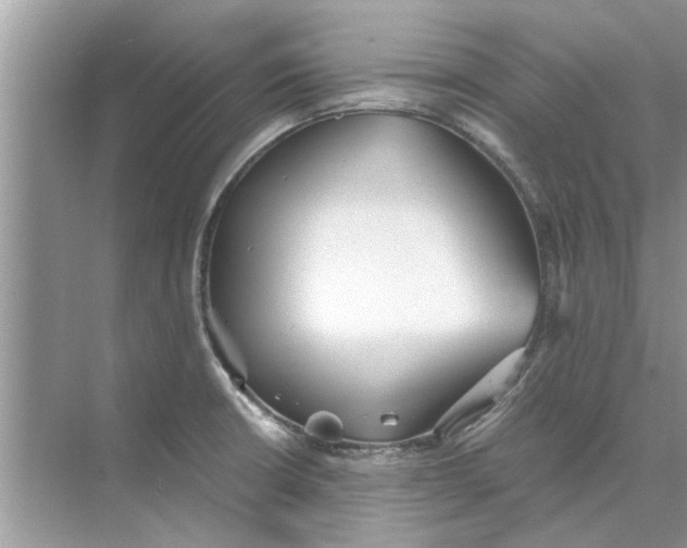 X0000073841426200608311923