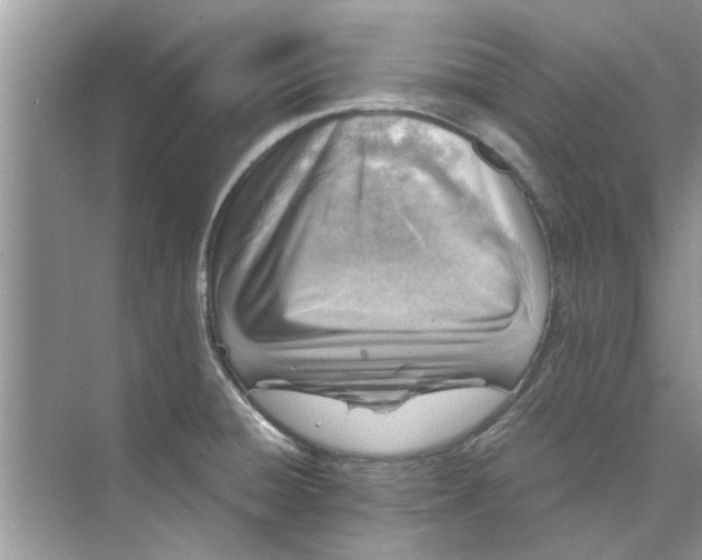 X0000073841428200608311923