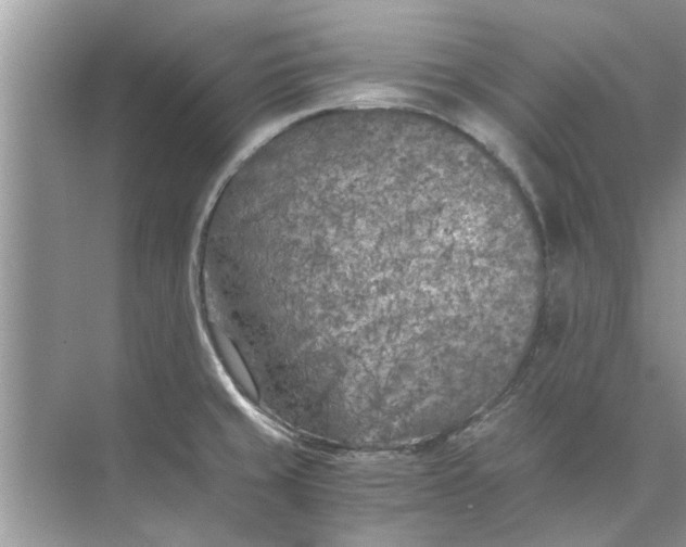 X0000073841429200608311923