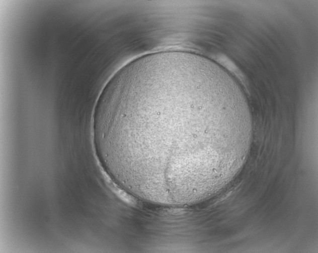 X0000073841431200608311923